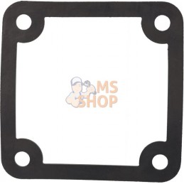 Joint de décharge | BRIGGS & STRATTON Joint de décharge | BRIGGS & STRATTONPR#397250