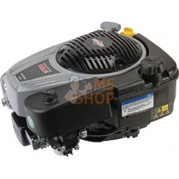 Moteur, Série 850 E | BRIGGS & STRATTON Moteur, Série 850 E | BRIGGS & STRATTONPR#1082934