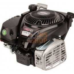 Moteur vertical, 5,0 HP, monocylindre, série 750 EX, Briggs & Stratton | BRIGGS & STRATTON Moteur vertical, 5,0 HP, monocylindre