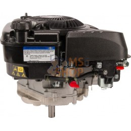 Moteur vertical, 5,0 HP, monocylindre, série 750 EX, Briggs & Stratton | BRIGGS & STRATTON Moteur vertical, 5,0 HP, monocylindre