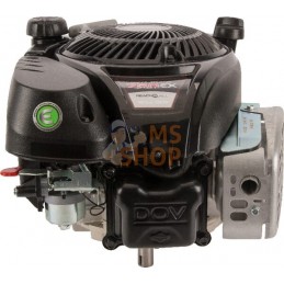 Moteur vertical, 5,0 HP, monocylindre, série 750 EX, Briggs & Stratton | BRIGGS & STRATTON Moteur vertical, 5,0 HP, monocylindre