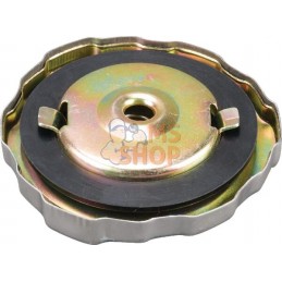 Bouchon de réservoir | BRIGGS & STRATTON Bouchon de réservoir | BRIGGS & STRATTONPR#99876