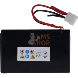 Batterie plomb-acide 12V/7AH | CASTELGARDEN Batterie plomb-acide 12V/7AH | CASTELGARDENPR#1124118