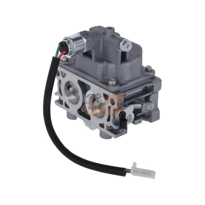 Carburateur | LONCIN Carburateur | LONCINPR#1124893