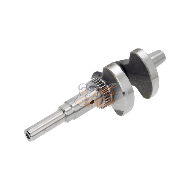Vilebrequin | LONCIN Vilebrequin | LONCINPR#1124900