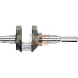Vilebrequin | LONCIN Vilebrequin | LONCINPR#1124900