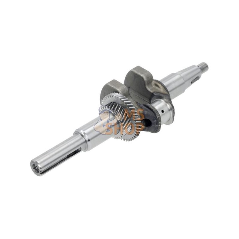 Vilebrequin | LONCIN Vilebrequin | LONCINPR#1124902
