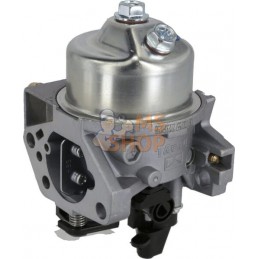 Carburateur | LONCIN Carburateur | LONCINPR#1124935