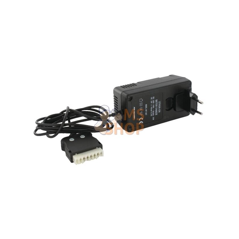 Chargeur de batterie Hybrid / | WOLF-GARTEN Chargeur de batterie Hybrid / | WOLF-GARTENPR#1125098 Chargeur de batterie Hybrid / | WOLF-GARTEN Chargeur de batterie Hybrid / | WOLF-GARTENPR#1125098