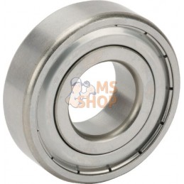 Roulement à billes à gorge profonde 20x47x14 mm, S6204-2Z-HLC INA/FAG | INA/FAG Roulement à billes à gorge profonde 20x47x14 mm,