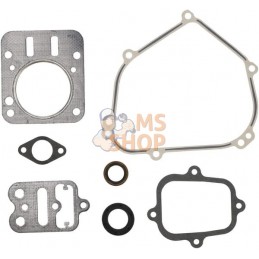 Kit de joints moteur | BRIGGS & STRATTON Kit de joints moteur | BRIGGS & STRATTONPR#1125160