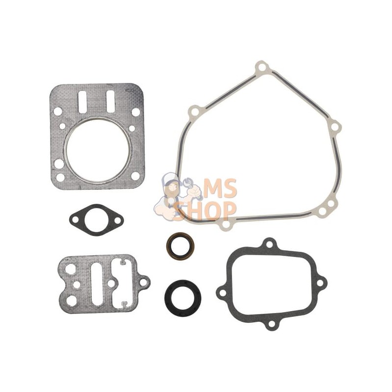 Kit de joints moteur | BRIGGS & STRATTON Kit de joints moteur | BRIGGS & STRATTONPR#1125160