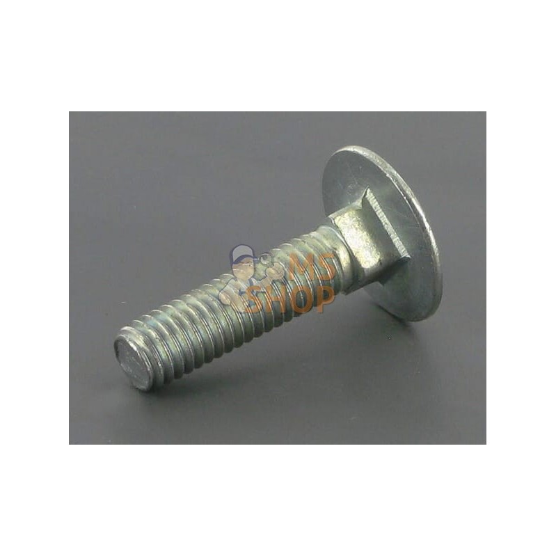 Vis Japy M6X25 | OUTILS WOLF Vis Japy M6X25 | OUTILS WOLFPR#695731
