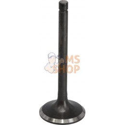 Kit de soupape | LONCIN Kit de soupape | LONCINPR#1125354