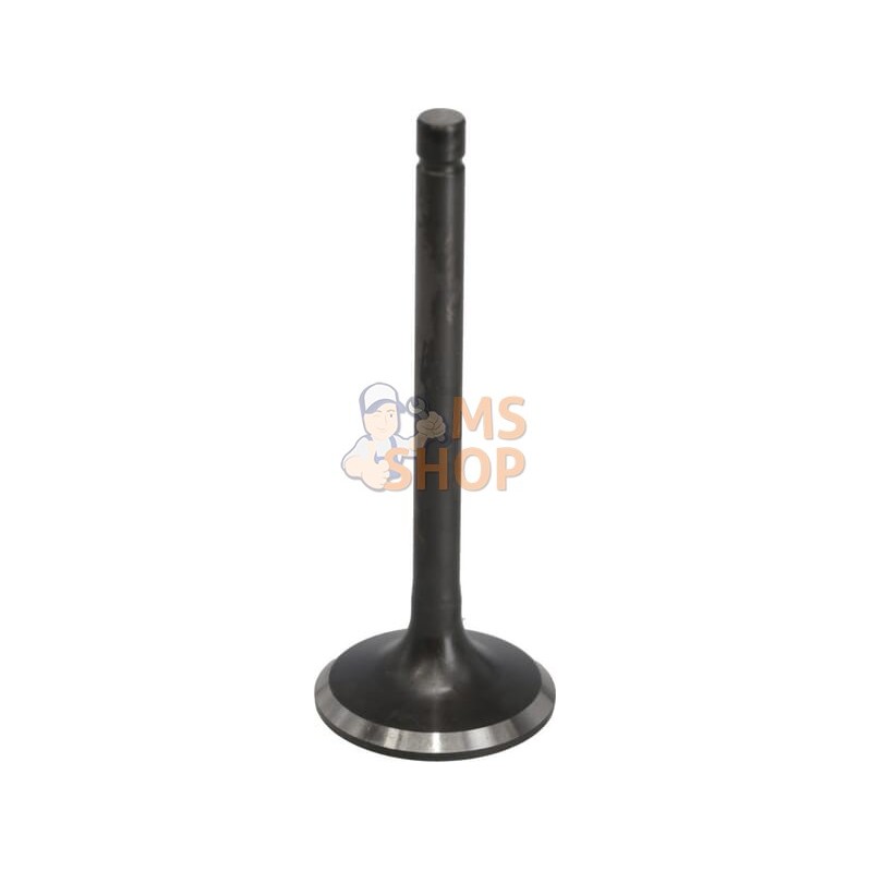 Kit de soupape | LONCIN Kit de soupape | LONCINPR#1125354