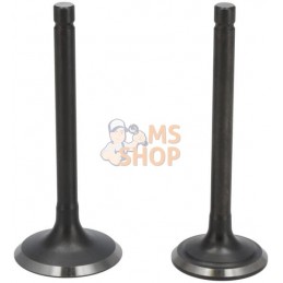 Kit de soupape | LONCIN Kit de soupape | LONCINPR#1125355