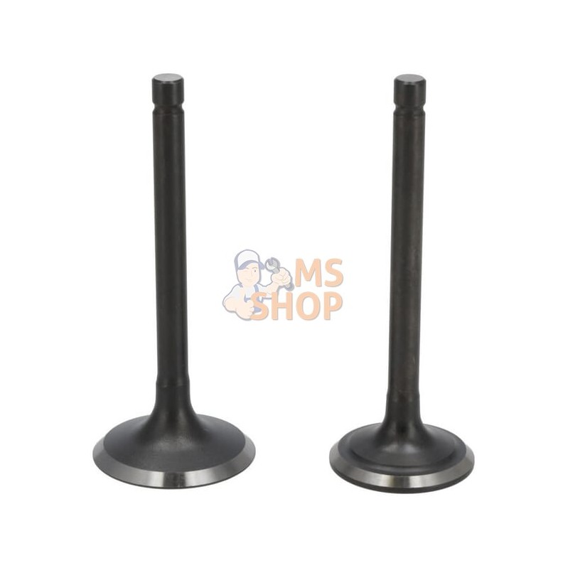 Kit de soupape | LONCIN Kit de soupape | LONCINPR#1125355