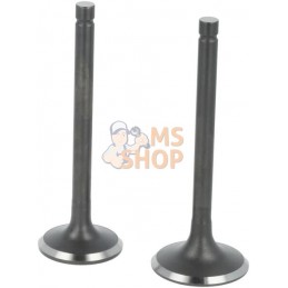Kit de soupape | LONCIN Kit de soupape | LONCINPR#1125356