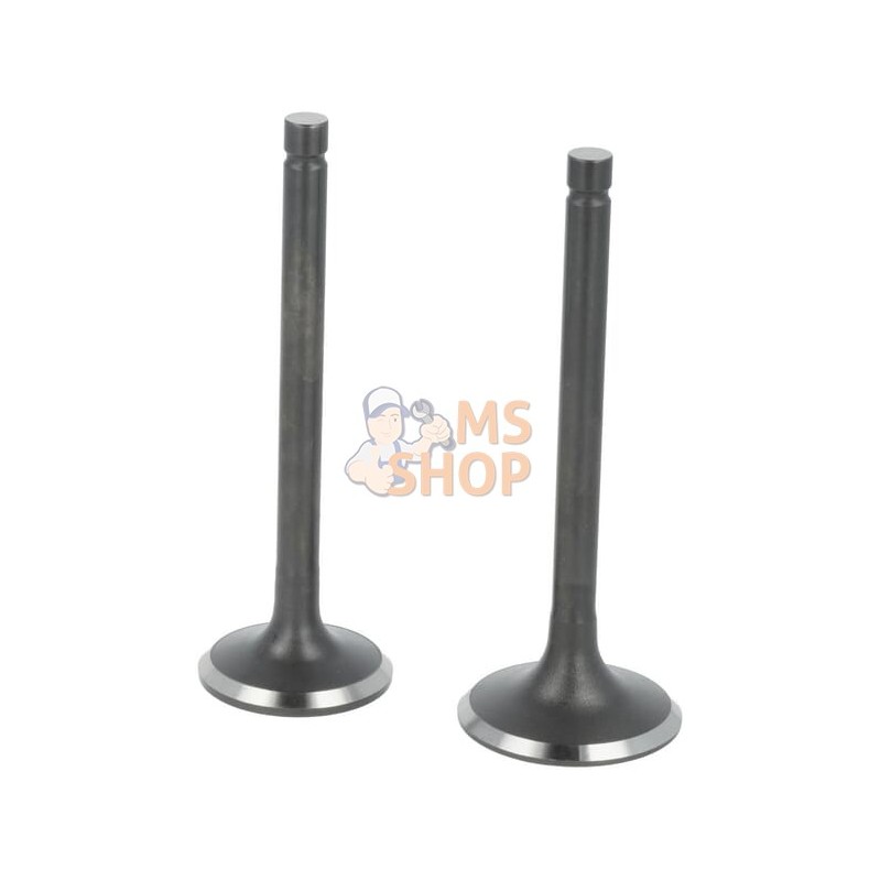 Kit de soupape | LONCIN Kit de soupape | LONCINPR#1125356