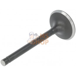 Kit de soupape | LONCIN Kit de soupape | LONCINPR#1125356