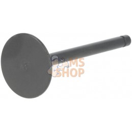 Kit de soupape | LONCIN Kit de soupape | LONCINPR#1125356