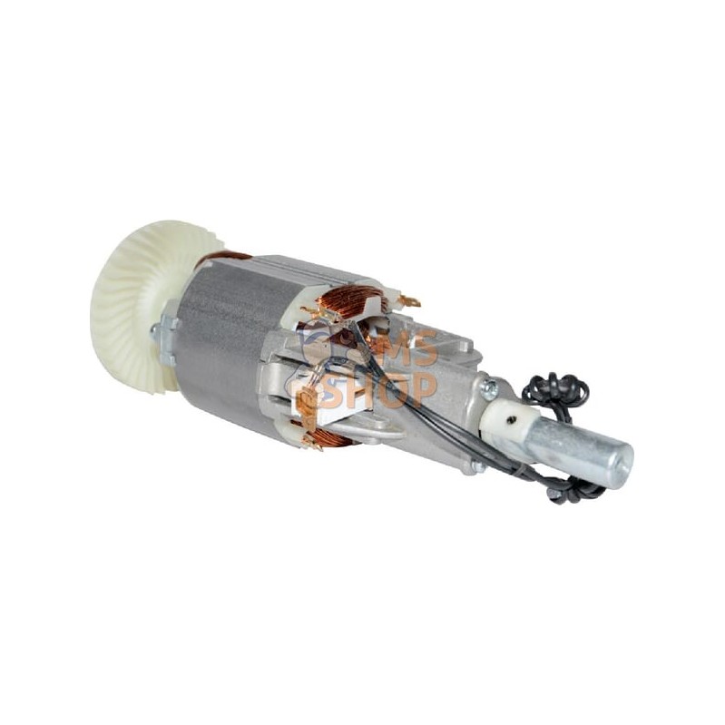 Moteur | OUTILS WOLF Moteur | OUTILS WOLFPR#5753