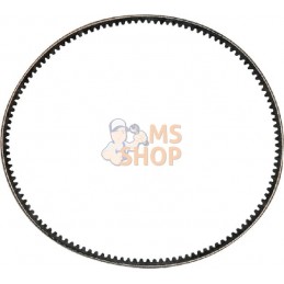Courroie | OUTILS WOLF Courroie | OUTILS WOLFPR#4284
