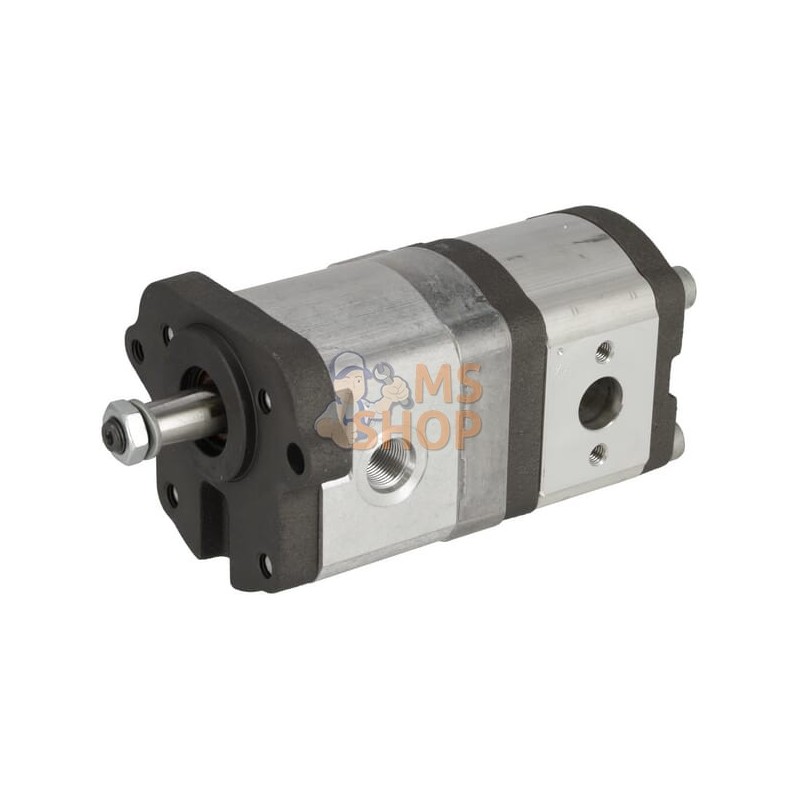 Pompe hydraulique | LANDINI Pompe hydraulique | LANDINIPR#1125963