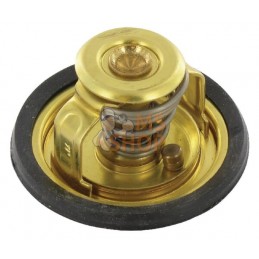 Thermostat | LOMBARDINI Thermostat | LOMBARDINIPR#166780