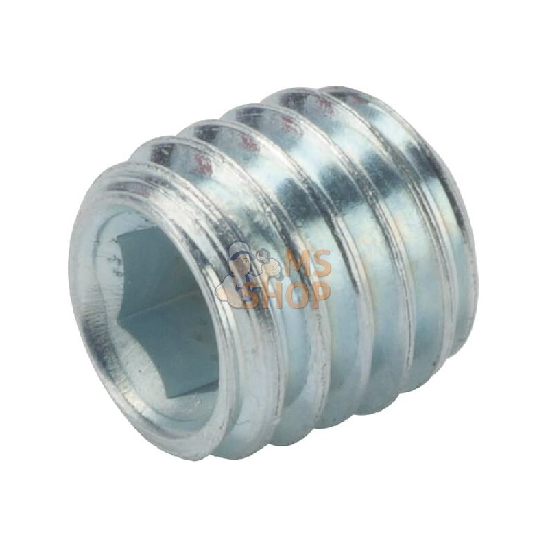 Vis sans tête six pans creux bout cuvette M8x8 45H zinqué | KRAMP Vis sans tête six pans creux bout cuvette M8x8 45H zinqué | KR Vis sans tête six pans creux bout cuvette M8x8 45H zinqué | KRAMP Vis sans tête six pans creux bout cuvette M8x8 45H zinqué | KR
