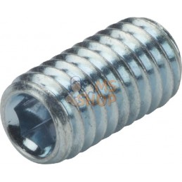 Vis sans tête six pans creux bout cuvette M6x12 45H zinqué | KRAMP Vis sans tête six pans creux bout cuvette M6x12 45H zinqué | 