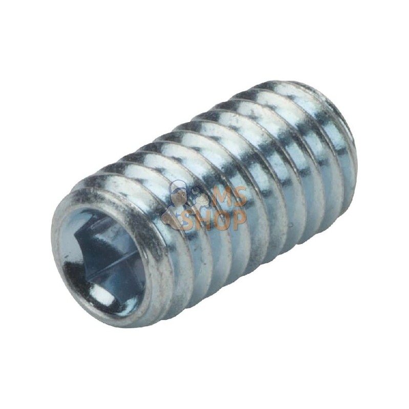Vis sans tête six pans creux bout cuvette M6x12 45H zinqué | KRAMP Vis sans tête six pans creux bout cuvette M6x12 45H zinqué | Vis sans tête six pans creux bout cuvette M6x12 45H zinqué | KRAMP Vis sans tête six pans creux bout cuvette M6x12 45H zinqué |