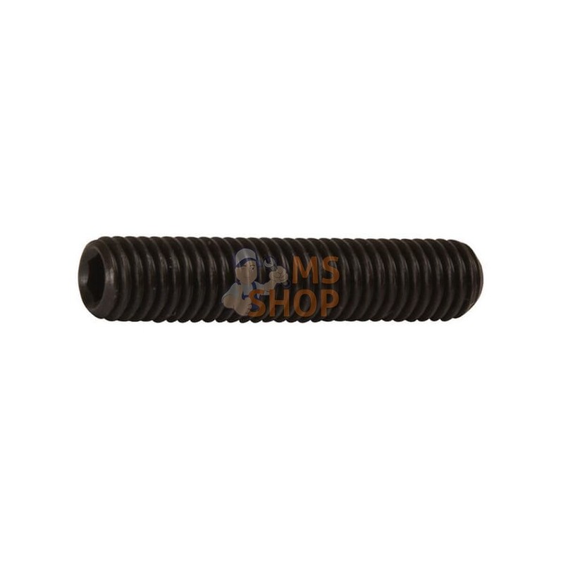 Vis sans tête six pans creux bout cuvette M4x16 noire | KRAMP Vis sans tête six pans creux bout cuvette M4x16 noire | KRAMPPR#45 Vis sans tête six pans creux bout cuvette M4x16 noire | KRAMP Vis sans tête six pans creux bout cuvette M4x16 noire | KRAMPPR#45
