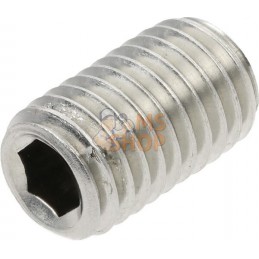 Vis sans tête six pans creux bout cuvette M12x20 inox-A2 | KRAMP Vis sans tête six pans creux bout cuvette M12x20 inox-A2 | KRAM