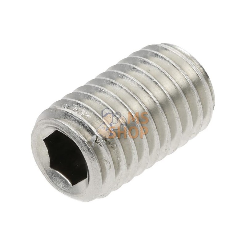 Vis sans tête six pans creux bout cuvette M12x20 inox-A2 | KRAMP Vis sans tête six pans creux bout cuvette M12x20 inox-A2 | KRAM Vis sans tête six pans creux bout cuvette M12x20 inox-A2 | KRAMP Vis sans tête six pans creux bout cuvette M12x20 inox-A2 | KRAM