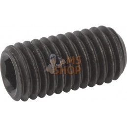 Vis sans tête six pans creux bout cuvette M10x20 45H no | KRAMP Vis sans tête six pans creux bout cuvette M10x20 45H no | KRAMPP