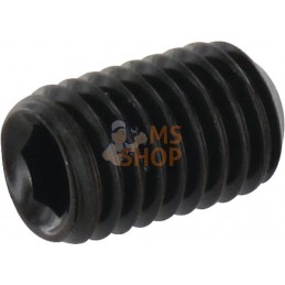 Vis sans tête six pans creux bout cuvette M10x16 45H noir | KRAMP Vis sans tête six pans creux bout cuvette M10x16 45H noir | KR