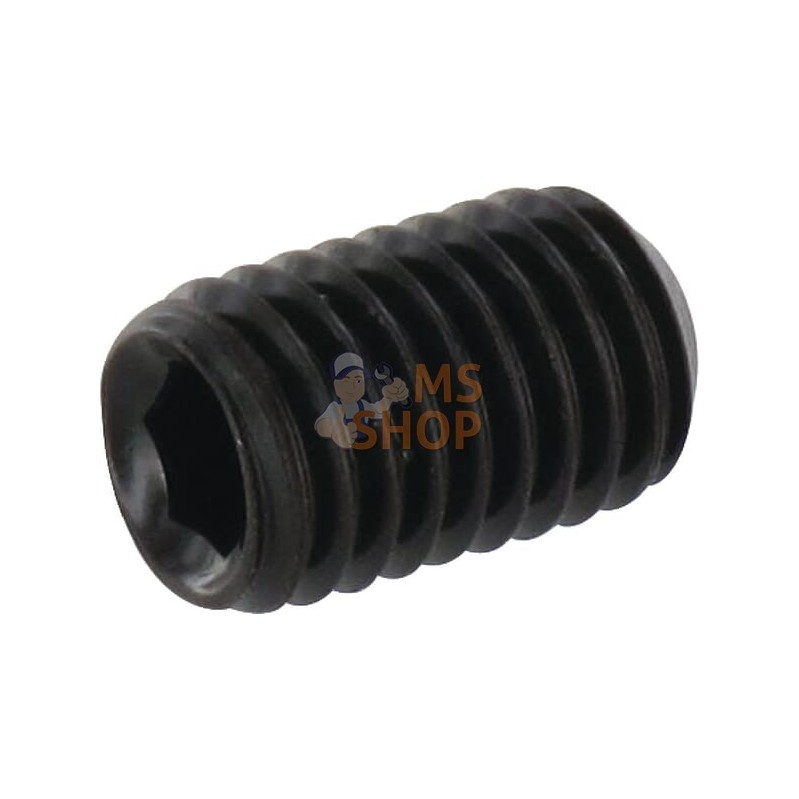 Vis sans tête six pans creux bout cuvette M10x16 45H noir | KRAMP Vis sans tête six pans creux bout cuvette M10x16 45H noir | KR Vis sans tête six pans creux bout cuvette M10x16 45H noir | KRAMP Vis sans tête six pans creux bout cuvette M10x16 45H noir | KR