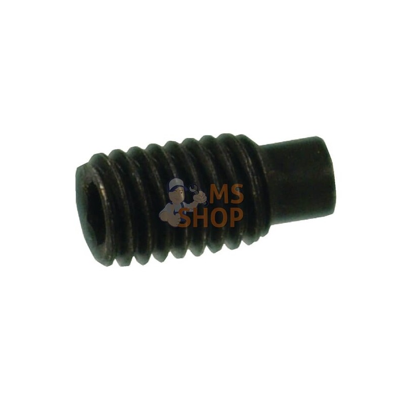 Vis sans tête six pans creux bout pointeau téton M6x10 noir | KRAMP Vis sans tête six pans creux bout pointeau téton M6x10 noir Vis sans tête six pans creux bout pointeau téton M6x10 noir | KRAMP Vis sans tête six pans creux bout pointeau téton M6x10 noir