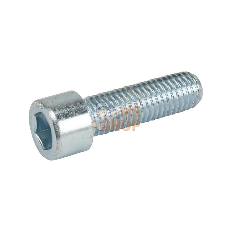 Vis t.cyl 6p cr. M12x40 8.8 zc | KRAMP Vis t.cyl 6p cr. M12x40 8.8 zc | KRAMPPR#460421 Vis t.cyl 6p cr. M12x40 8.8 zc | KRAMP Vis t.cyl 6p cr. M12x40 8.8 zc | KRAMPPR#460421