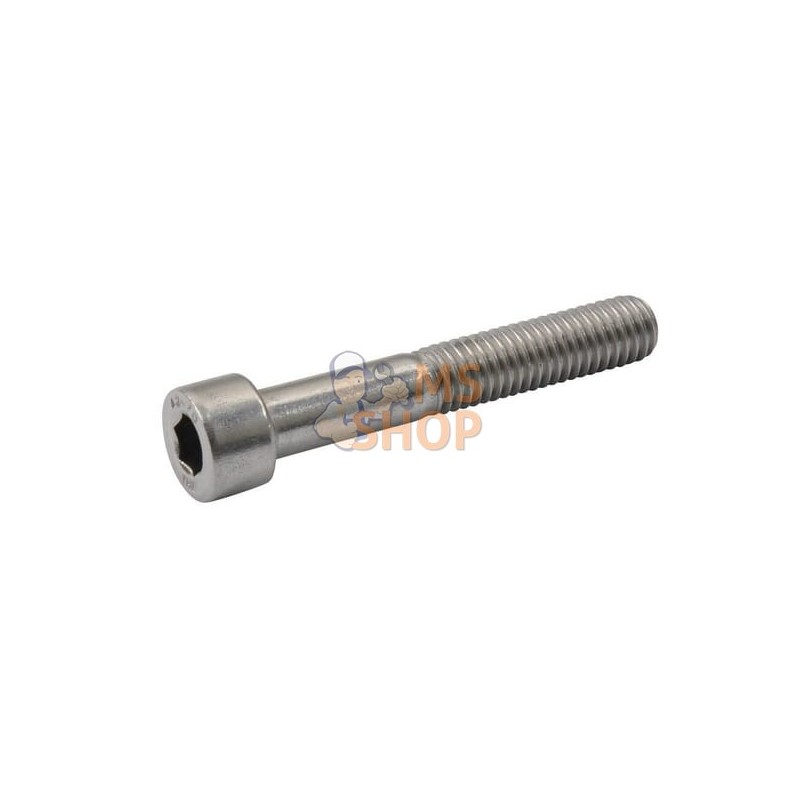 Vis cyl. 6p cr. M10x100 inox A2 | KRAMP Vis cyl. 6p cr. M10x100 inox A2 | KRAMPPR#735663