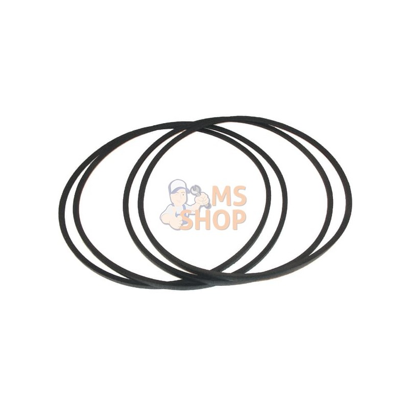 Courroie Lely | LELY Courroie Lely | LELYPR#895829