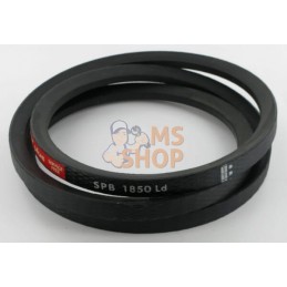 Courroie SPB 1850 RP Lely | LELY Courroie SPB 1850 RP Lely | LELYPR#895828
