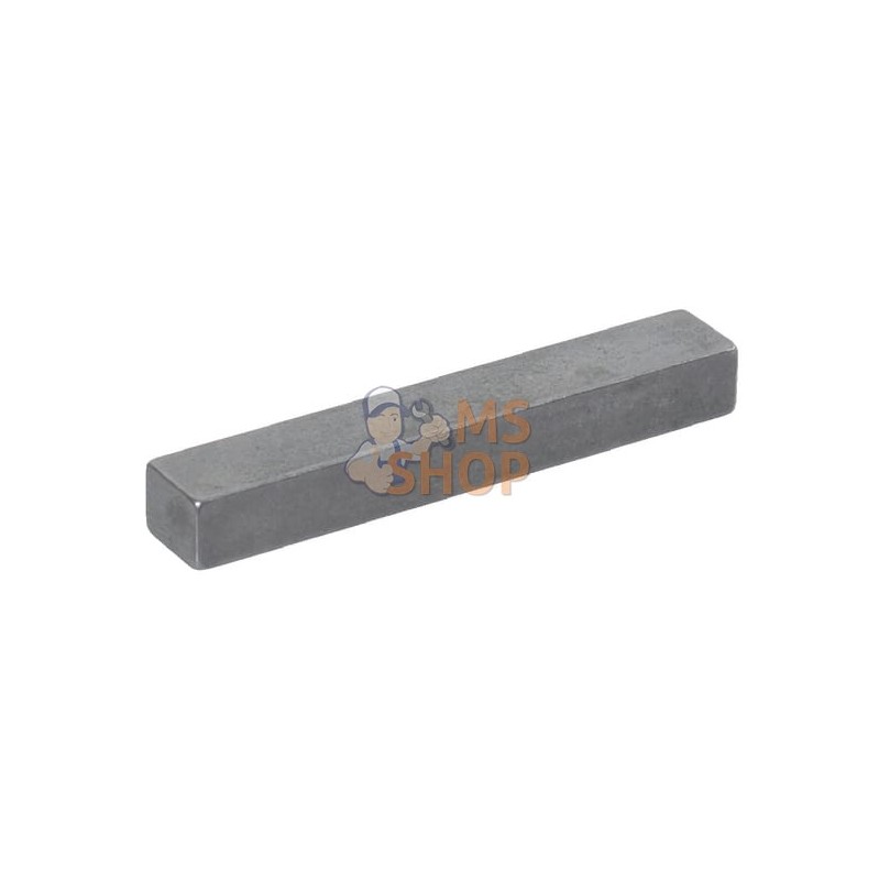Cale 10x8x63 DIN9885 Lely | LELY Cale 10x8x63 DIN9885 Lely | LELYPR#895824