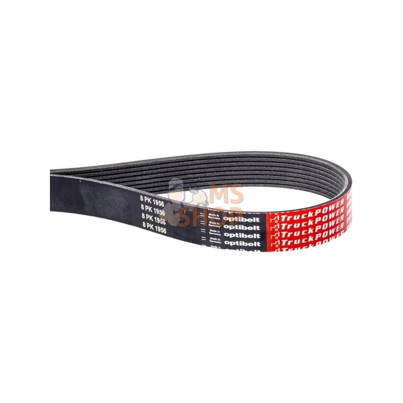 Courroie nervurée 8PK1956 Optibelt | OPTIBELT Courroie nervurée 8PK1956 Optibelt | OPTIBELTPR#47785 Courroie nervurée 8PK1956 Optibelt | OPTIBELT Courroie nervurée 8PK1956 Optibelt | OPTIBELTPR#47785