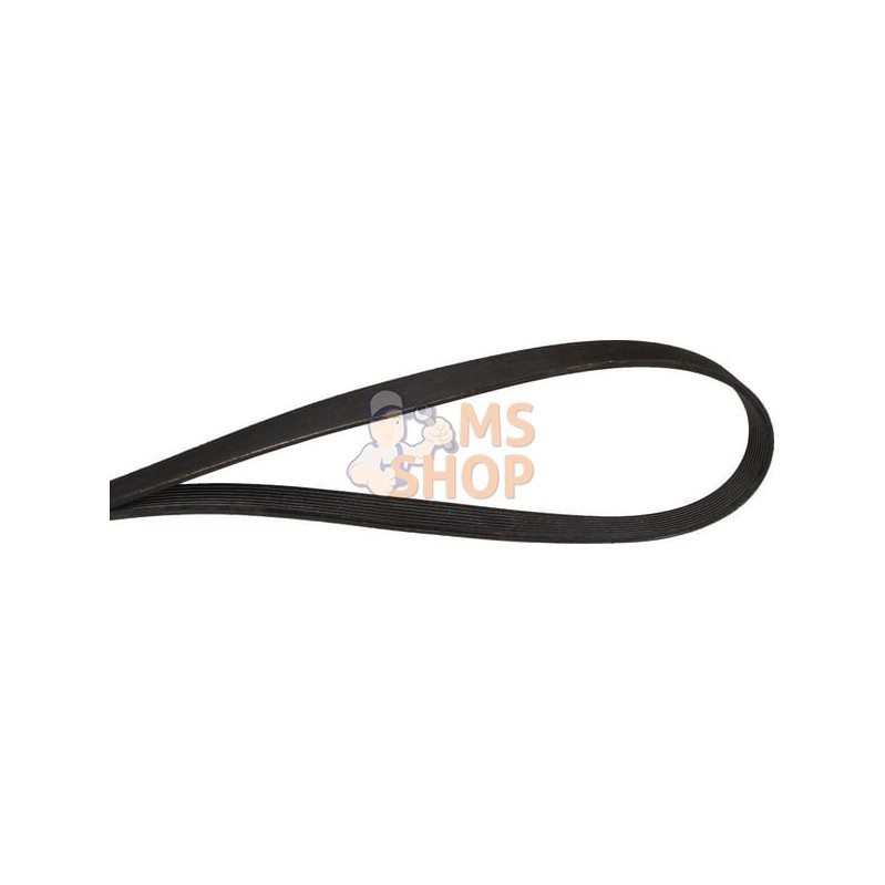 Courroie nervurée 8PK1715 Optibelt | OPTIBELT Courroie nervurée 8PK1715 Optibelt | OPTIBELTPR#47673 Courroie nervurée 8PK1715 Optibelt | OPTIBELT Courroie nervurée 8PK1715 Optibelt | OPTIBELTPR#47673