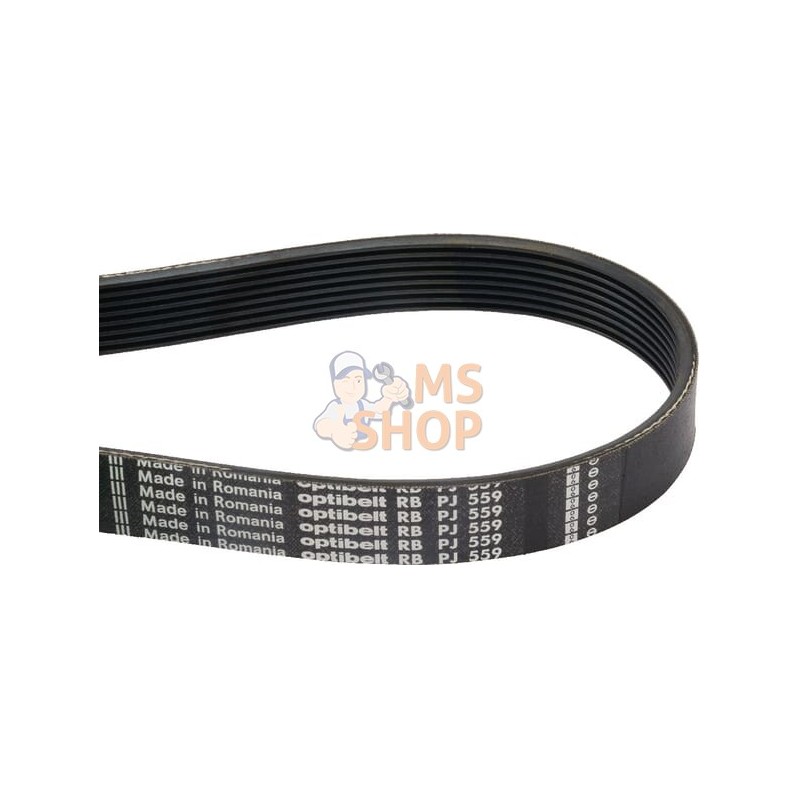Courroie nervurée 8PJ559 Optibelt | OPTIBELT Courroie nervurée 8PJ559 Optibelt | OPTIBELTPR#826598 Courroie nervurée 8PJ559 Optibelt | OPTIBELT Courroie nervurée 8PJ559 Optibelt | OPTIBELTPR#826598