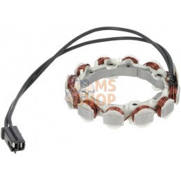 Alternateur | BRIGGS & STRATTON Alternateur | BRIGGS & STRATTONPR#1034855