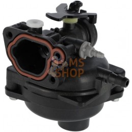 Bloc carburateur | BRIGGS & STRATTON Bloc carburateur | BRIGGS & STRATTONPR#1036110