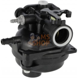 Bloc carburateur | BRIGGS & STRATTON Bloc carburateur | BRIGGS & STRATTONPR#1036110
